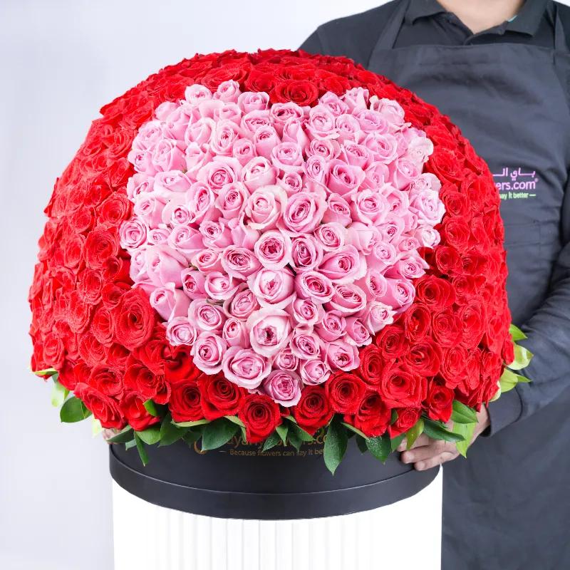 My Heart 501 Red and Pink Roses Box - Flowers gift from Buy Any Flowers Dubai in Al Quoz Industrial Area 4, Dubai, UAE - image 2