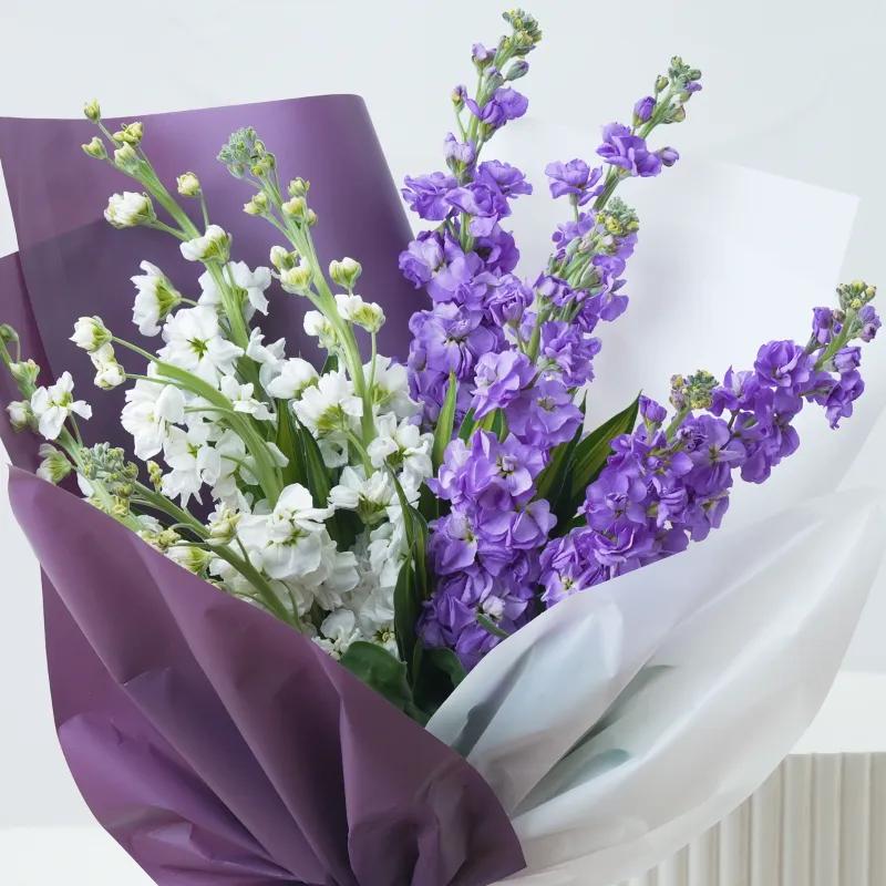 Harmony 10 Matthiola Bouquet - Flowers gift from Buy Any Flowers Dubai in Al Quoz Industrial Area 4, Dubai, UAE - image 2