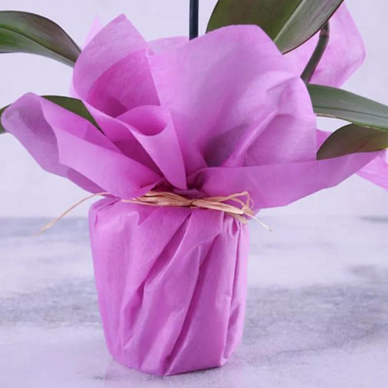 Purple Orchid Plant in Purple Wrapping - Plants gift from Buy Any Flowers Dubai in Al Quoz Industrial Area 4, Dubai, UAE - image 3