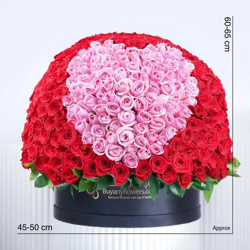 My Heart 501 Red and Pink Roses Box - Flowers gift from Buy Any Flowers Dubai in Al Quoz Industrial Area 4, Dubai, UAE - image 4