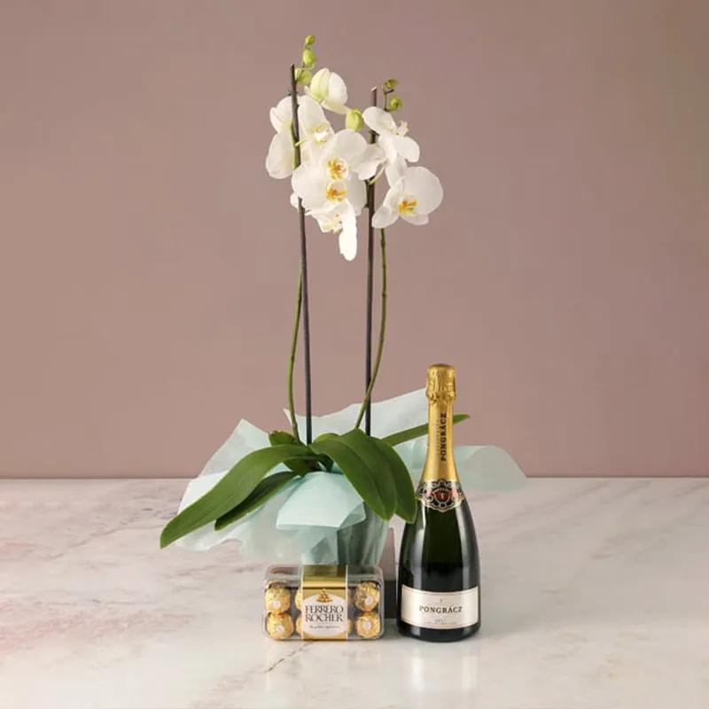 2-stem-white-orchid-plant-with-sparkling-juice-and-ferrero_1.webp