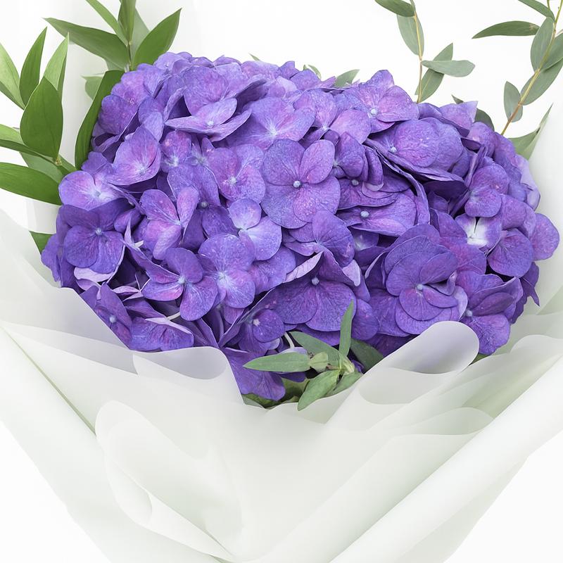 The Art of Purple thumbnail 3