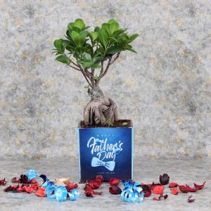 fathersdaybonsaiplant_9dd496.webp