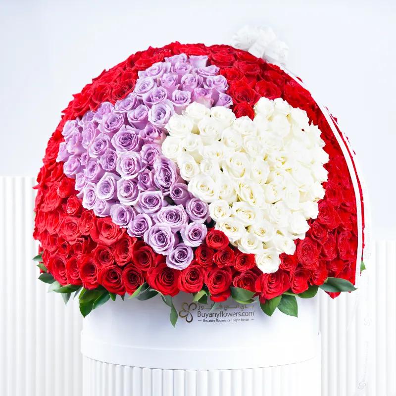 You and I 501 Roses Box - Flowers gift from Buy Any Flowers Dubai in Al Quoz Industrial Area 4, Dubai, UAE