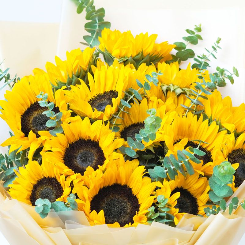 باقة مشمسة  من 15 زهرة من دوار الشمس  thumbnail 3