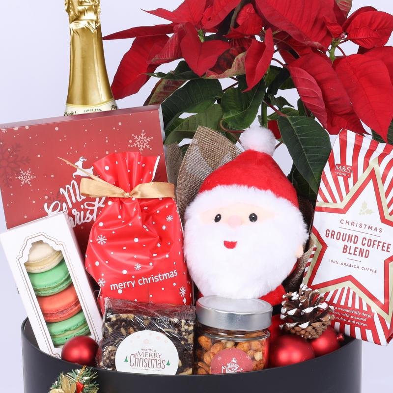 Care Christmas Gift Hamper thumbnail 3