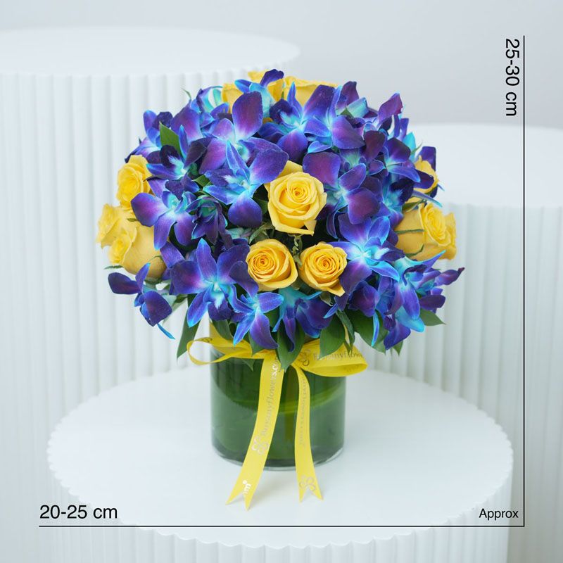 My Guiding Light thumbnail 4