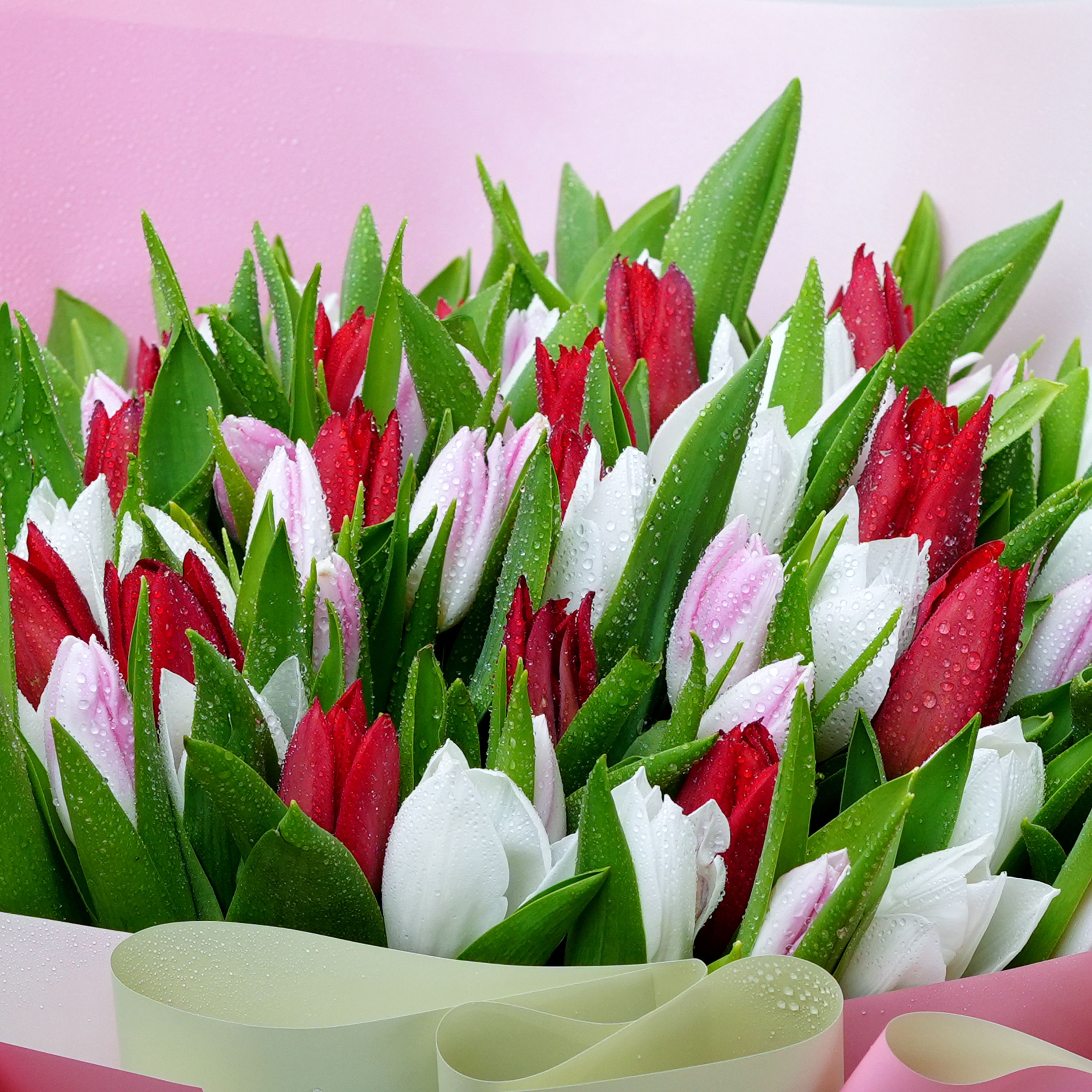 Grand Hug 101 Tulips Bouquet thumbnail 3