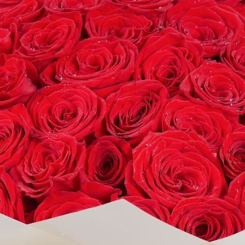 Love Story 101 Red Roses Bouquet - Flowers gift from Buy Any Flowers Dubai in Al Quoz Industrial Area 4, Dubai, UAE - image 3