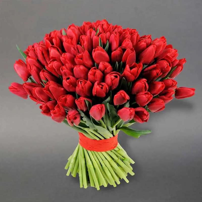 affair-101-red-tulips_1.webp