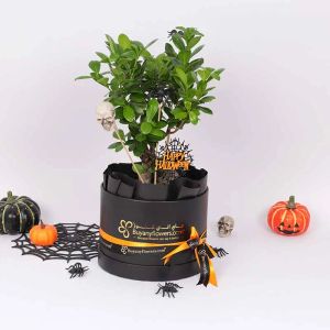 halloween-bonsai-plant_1.webp