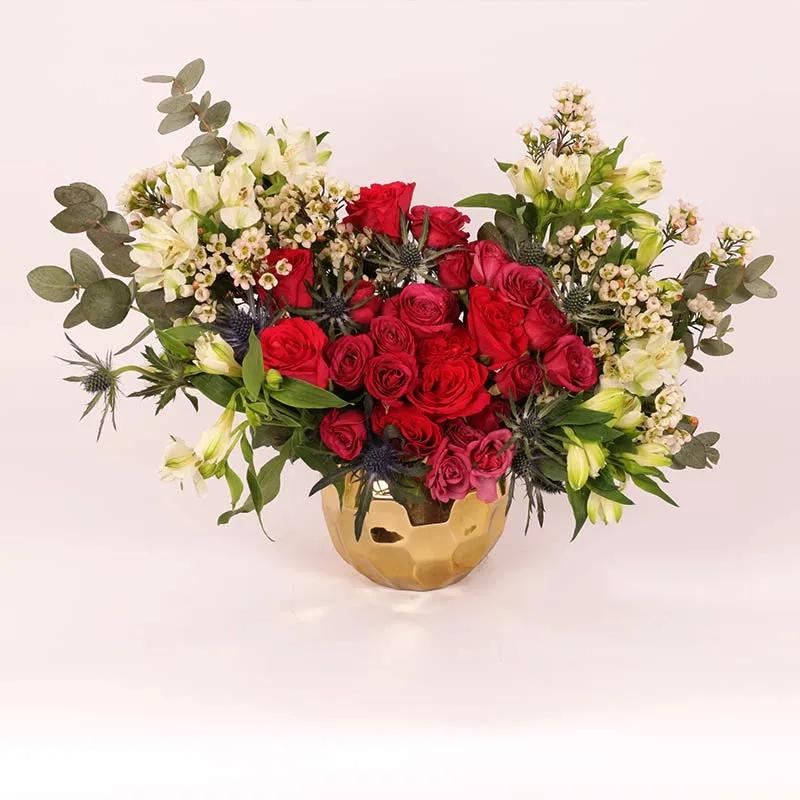 Jungle Mania - Gifts gift from Buy Any Flowers Dubai in Al Quoz Industrial Area 4, Dubai, UAE