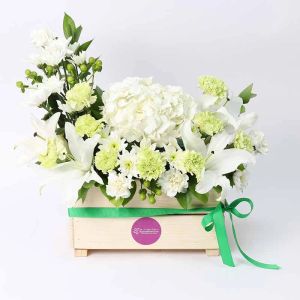 peaceful-blessings_1.webp