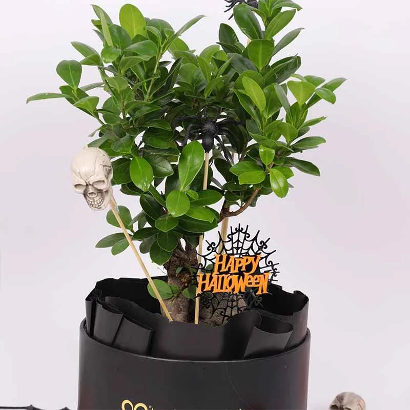 Halloween Bonsai Plant thumbnail 2