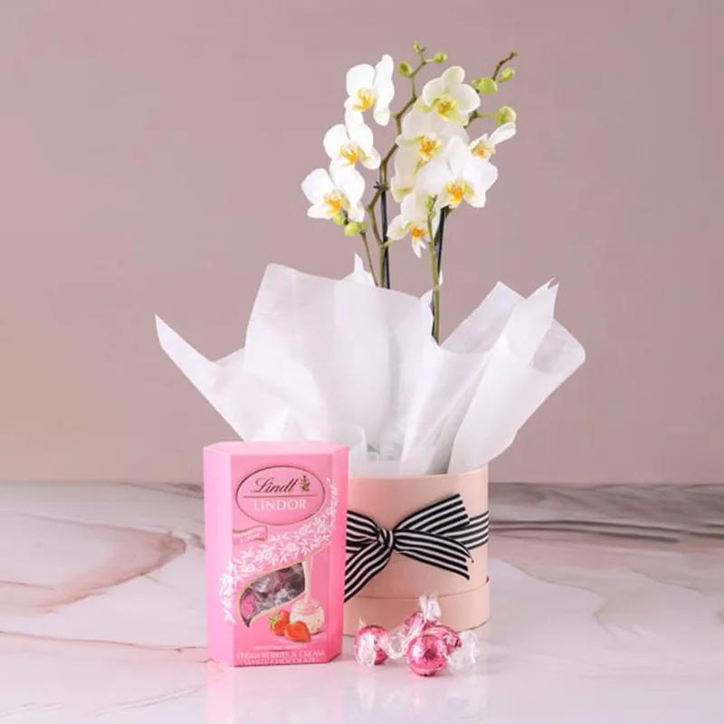 2-stems-white-orchid-plant-in-white-box-and-lindt-truffles-200gm_1.webp