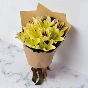 burst-of-sunshine_1.webp