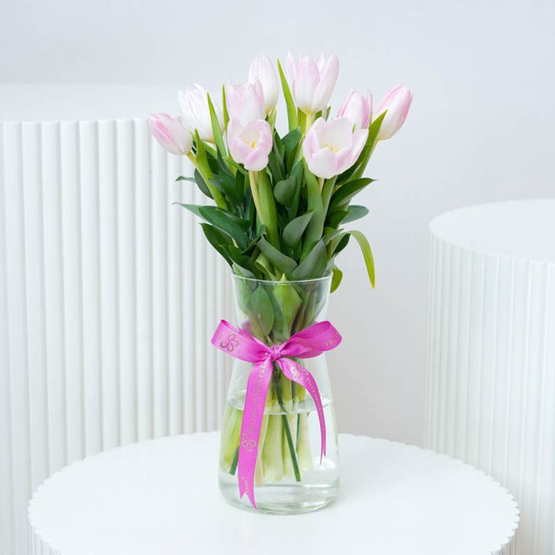 Delicate 11 Tulips 1