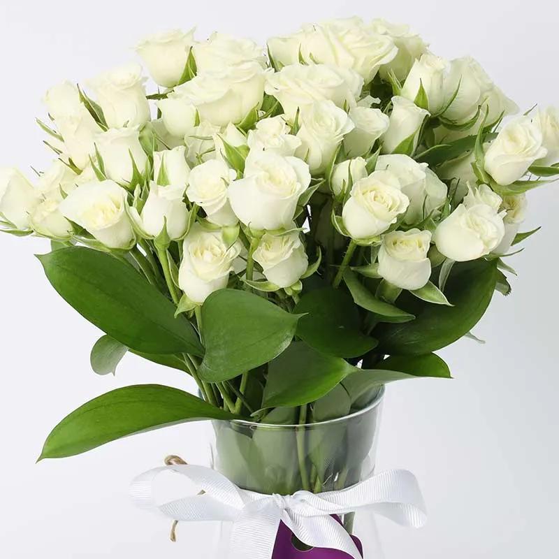 Peace 11 White Baby Roses thumbnail 3