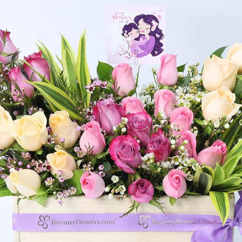 Mothers Day Abundance 31 Roses thumbnail 3