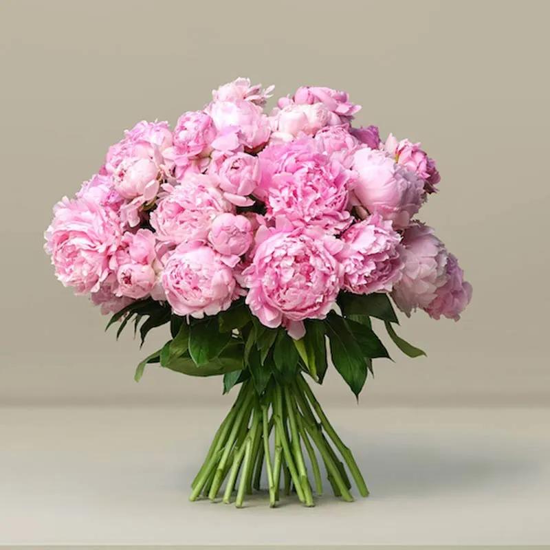 sweety-30-pink-peonies-bunch_1.webp