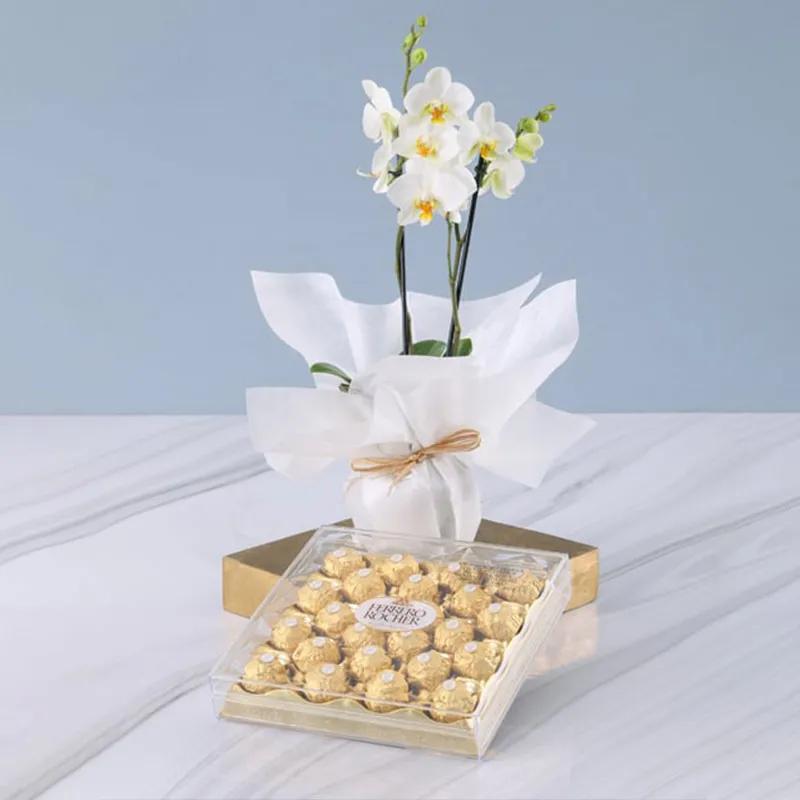 2 Stem White Orchid Plant and Ferrero Rocher 24pcs - Chocolates gift from Buy Any Flowers Dubai in Al Quoz Industrial Area 4, Dubai, UAE