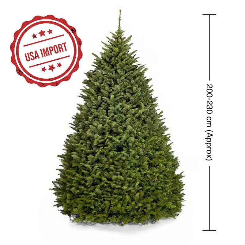 Fresh Premium Christmas Tree 230cm 1