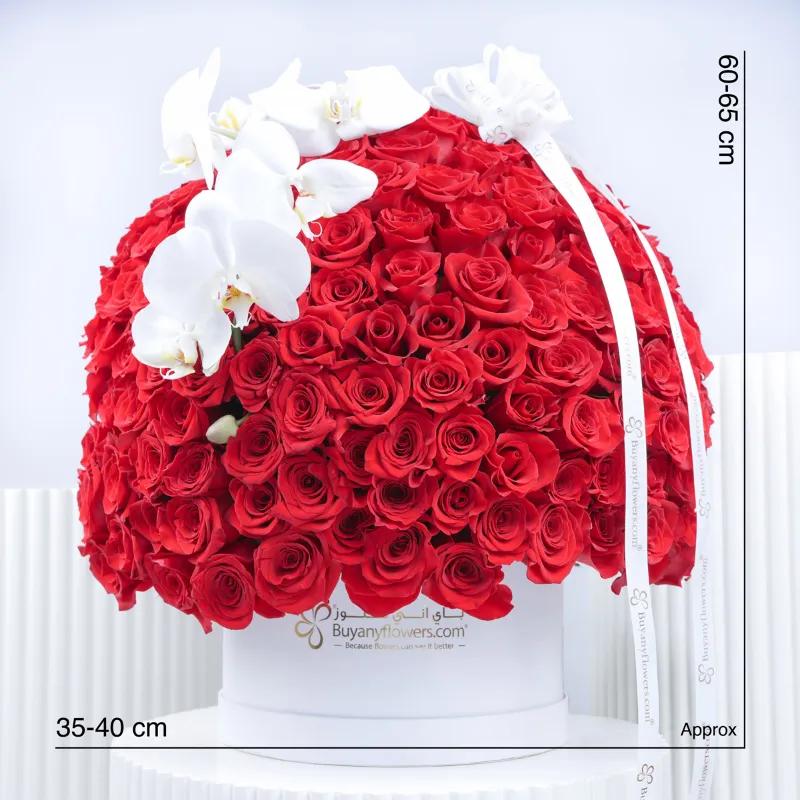 My Queen 251 Red Roses in Box - Flowers gift from Buy Any Flowers Dubai in Al Quoz Industrial Area 4, Dubai, UAE - image 3