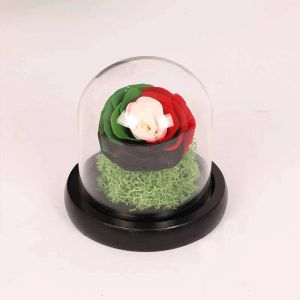 uae-flag-color-forever-rose-medium_1.webp