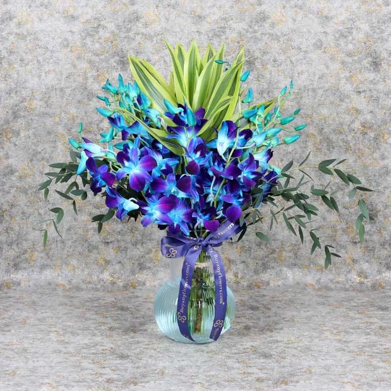 11blueorchidinvase_b73d79.webp