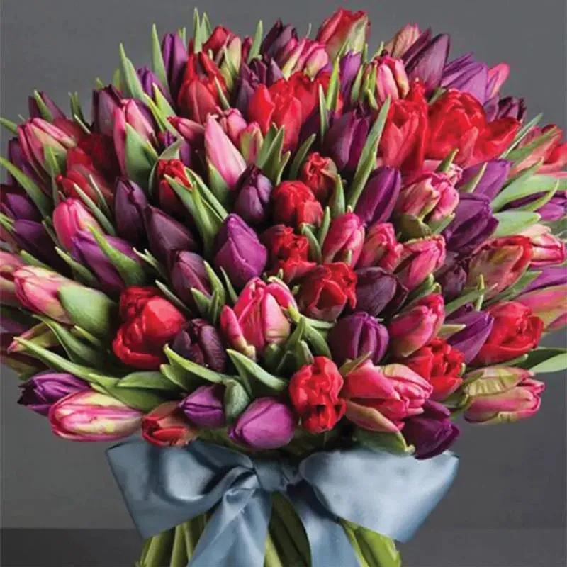 Grand Affection thumbnail 2