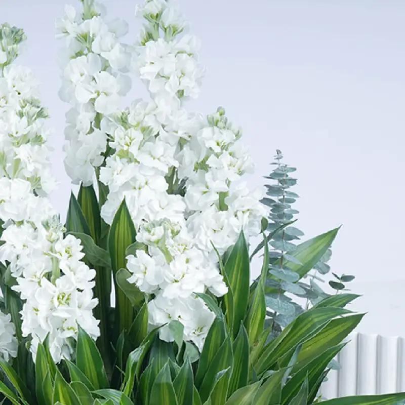 Noor Tahira Grace Box - Gifts gift from Buy Any Flowers Dubai in Al Quoz Industrial Area 4, Dubai, UAE - image 3