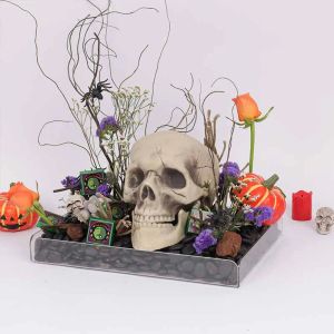 head-on-the-tray-arrangement_1.webp