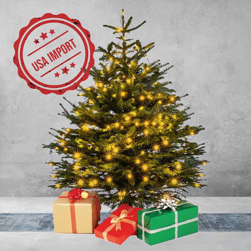 Fresh Premium Christmas Tree with Box Decoration 230cm 1