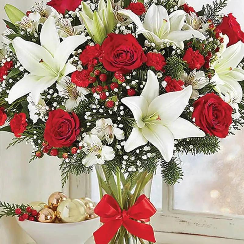 Red and White Delight thumbnail 2