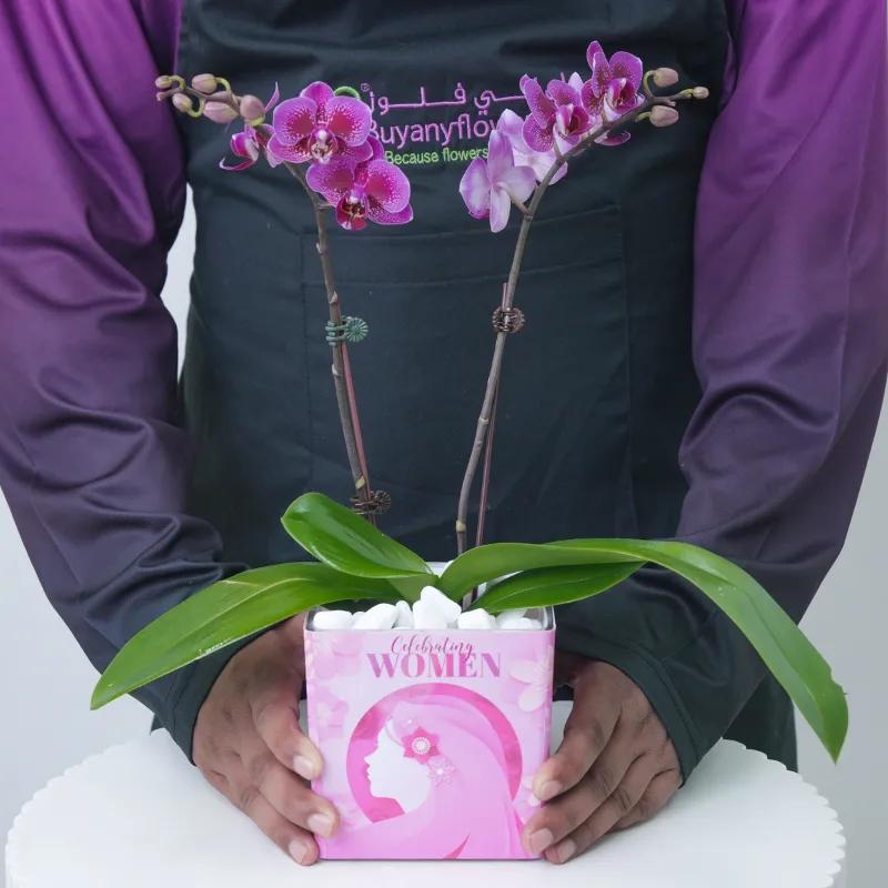 Womens Day 2 Stem Purple Mini Orchid Plant - Plants gift from Buy Any Flowers Dubai in Al Quoz Industrial Area 4, Dubai, UAE - image 2