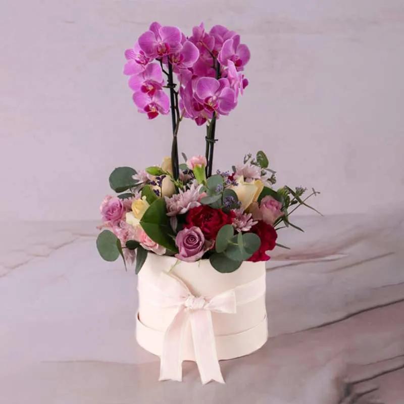 beauty-plants-and-flowers-in-box_1.webp