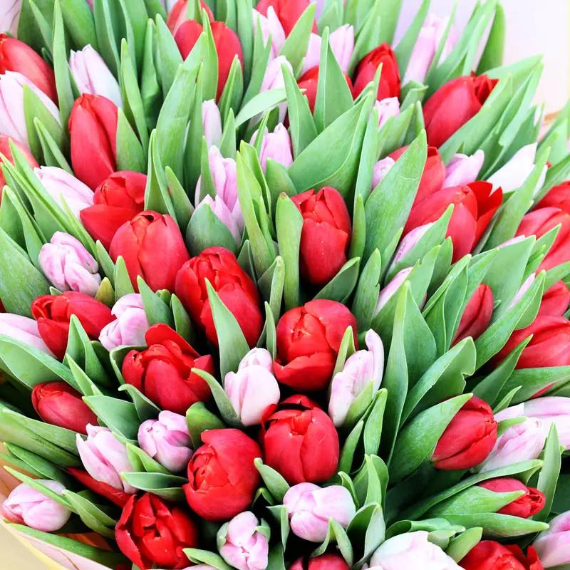 Mysterious 101 Red and Pink Tulips Bouquet - Flowers gift from Buy Any Flowers Dubai in Al Quoz Industrial Area 4, Dubai, UAE - image 3