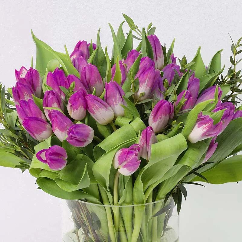 Forest 51 Purple Tulips - Flowers gift from Buy Any Flowers Dubai in Al Quoz Industrial Area 4, Dubai, UAE - image 3