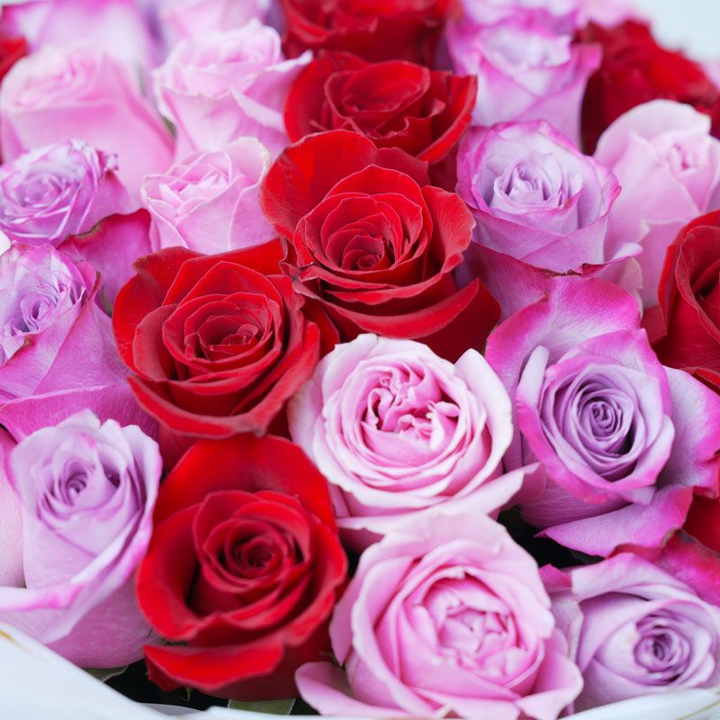 Lady Luck 101 Roses thumbnail 3