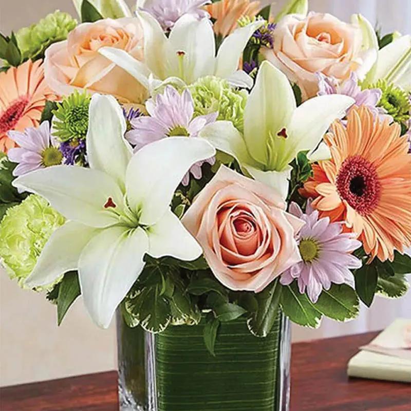 Healing Sorrow Peach and White thumbnail 2