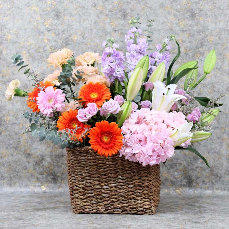 destinedforher_46082d.webp