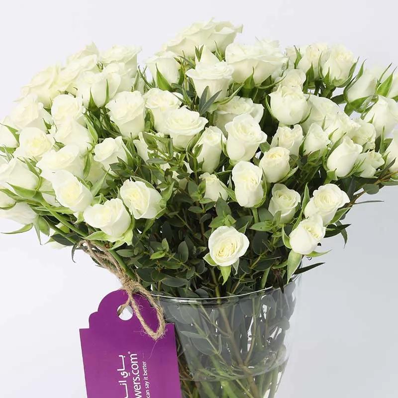 Peace 21 White Baby Roses thumbnail 3