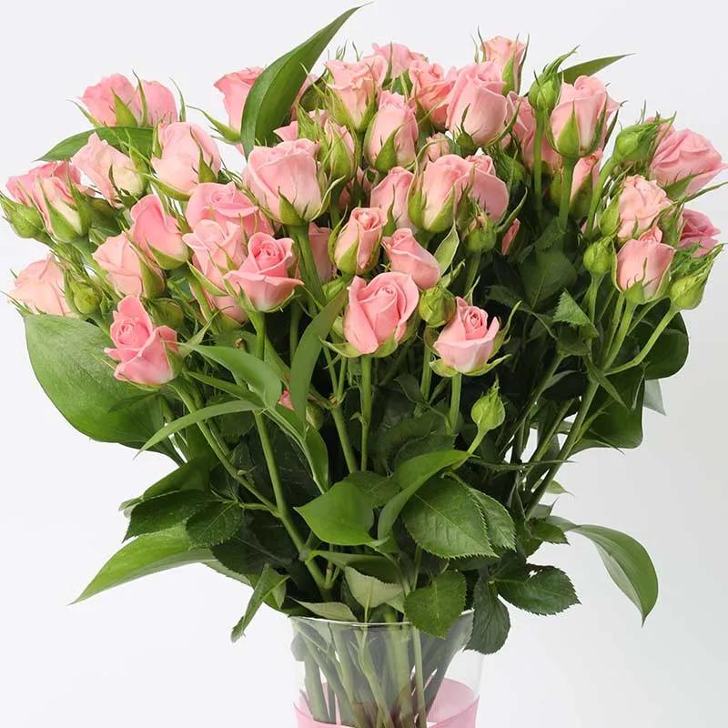 Raw Beauty 11 Pink Baby Roses - Flowers gift from Buy Any Flowers Dubai in Al Quoz Industrial Area 4, Dubai, UAE - image 3
