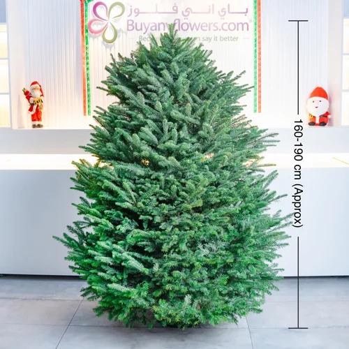 Fresh Premium Christmas Tree 180cm 1