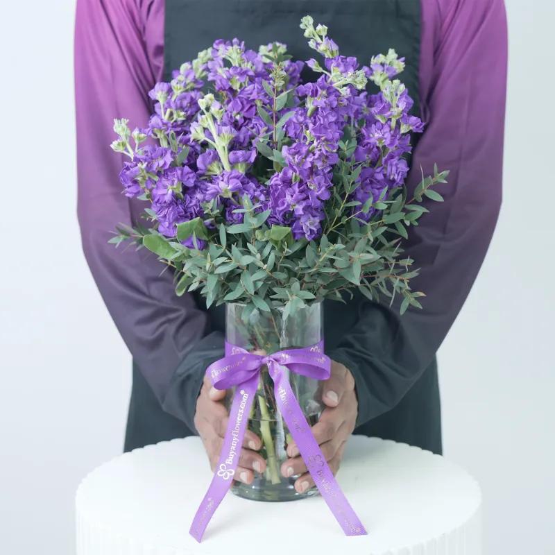 Purple Beauty 11 Matthiola - Flowers gift from Buy Any Flowers Dubai in Al Quoz Industrial Area 4, Dubai, UAE - image 2
