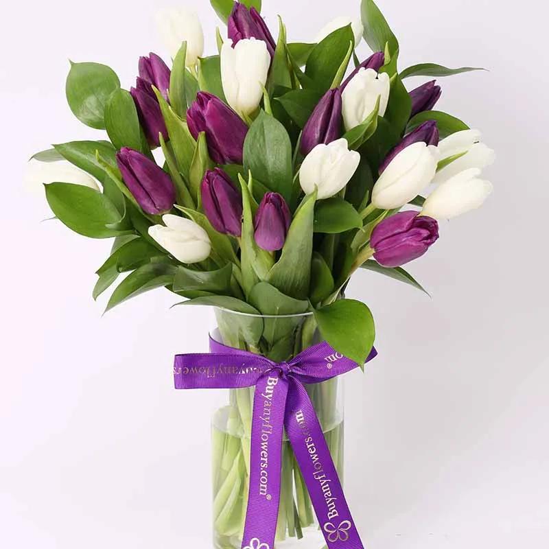 Dark and White Beauty 19 Tulips thumbnail 2