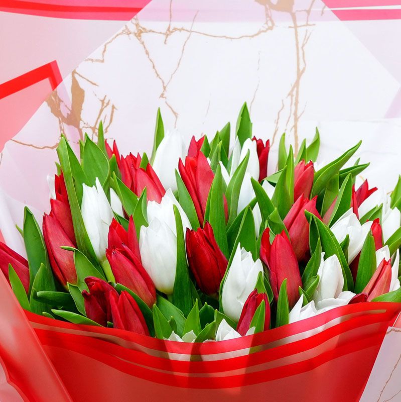 Beauty 51 Red and White Tulips Bouquet thumbnail 3