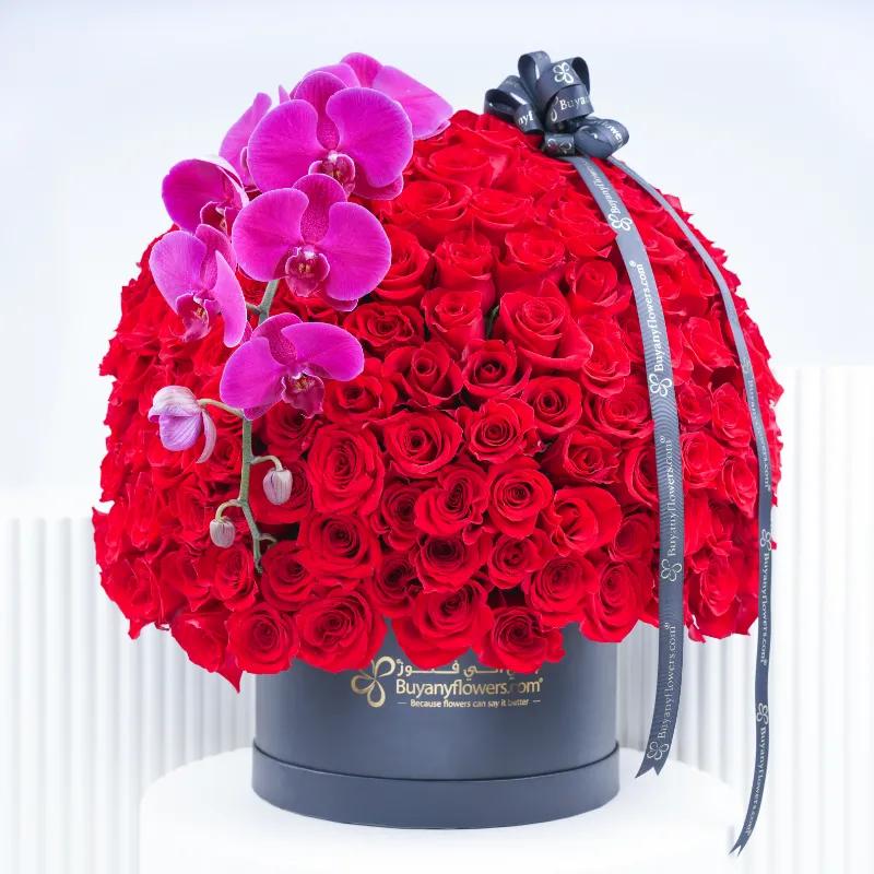 My Princess 251 Red Roses in Box - Flowers gift from Buy Any Flowers Dubai in Al Quoz Industrial Area 4, Dubai, UAE