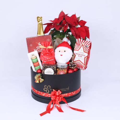 carechristmasgifthamper_5232ab.webp