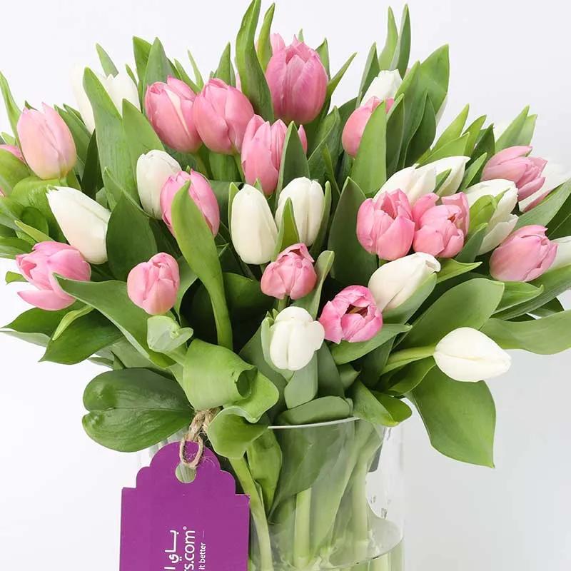 Calm and Beauty 51 Tulips thumbnail 3